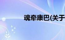 魂牵康巴(关于魂牵康巴简述)