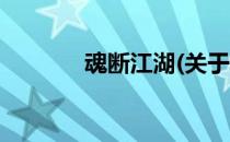 魂断江湖(关于魂断江湖简述)
