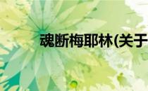 魂断梅耶林(关于魂断梅耶林简述)