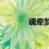 魂牵梦萦(关于魂牵梦萦简述)