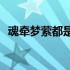 魂牵梦萦都是你(关于魂牵梦萦都是你简述)