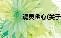 魂灵幽心(关于魂灵幽心简述)