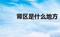 肾区是什么地方（肾区是指哪里）