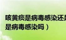 咳黄痰是病毒感染还是细菌感染（咳嗽咳黄痰是病毒感染吗）