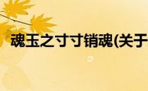 魂玉之寸寸销魂(关于魂玉之寸寸销魂简述)