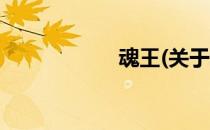 魂王(关于魂王简述)