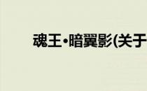 魂王·暗翼影(关于魂王·暗翼影简述)