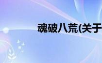 魂破八荒(关于魂破八荒简述)