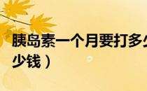 胰岛素一个月要打多少支（胰岛素一个月要多少钱）