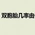 双胞胎几率由什么决定（双胞胎几率有多大）