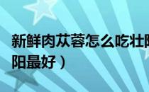 新鲜肉苁蓉怎么吃壮阳最好（肉苁蓉怎么吃壮阳最好）
