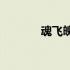 魂飞魄越(关于魂飞魄越简述)