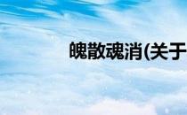 魄散魂消(关于魄散魂消简述)