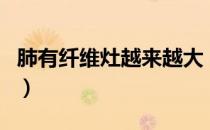 肺有纤维灶越来越大（肺有纤维灶是大问题吗）