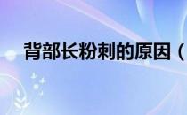 背部长粉刺的原因（背部长粉刺怎么办）