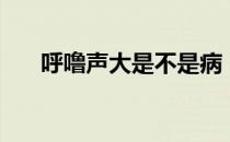 呼噜声大是不是病（呼噜声大怎么办）