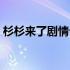 杉杉来了剧情介绍人物（杉杉来了剧情介绍）