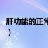 肝功能的正常指标（肝功能的正常指标是多少）