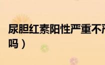 尿胆红素阳性严重不严重（尿胆红素阳性严重吗）