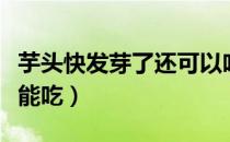 芋头快发芽了还可以吃吗（芋头发芽了还能不能吃）