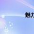 魅力岛(关于魅力岛简述)