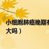 小细胞肺癌晚期有必要治疗吗（小细胞肺癌晚期治愈的希望大吗）