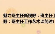 魅力班主任新视野：班主任工作艺术谈(关于魅力班主任新视野：班主任工作艺术谈简述)