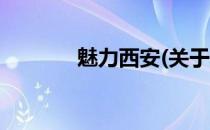 魅力西安(关于魅力西安简述)