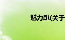 魅力趴(关于魅力趴简述)