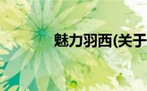 魅力羽西(关于魅力羽西简述)