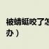 被蜻蜓咬了怎么办有危险吗（被蜻蜓咬了怎么办）
