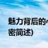 魅力背后的心理秘密(关于魅力背后的心理秘密简述)