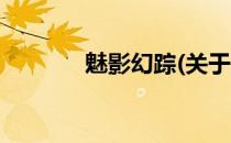 魅影幻踪(关于魅影幻踪简述)