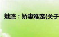 魅惑：娇妻难宠(关于魅惑：娇妻难宠简述)