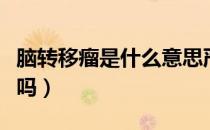 脑转移瘤是什么意思严重吗（脑转移瘤是癌症吗）
