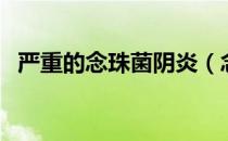 严重的念珠菌阴炎（念珠菌性阴炎严重么）