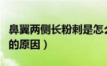 鼻翼两侧长粉刺是怎么回事（鼻翼两侧长粉刺的原因）