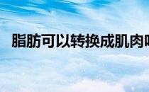 脂肪可以转换成肌肉吗（脂肪可以填充吗）