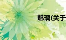 魅璃(关于魅璃简述)