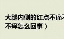 大腿内侧的红点不痛不痒（大腿内侧红点不痛不痒怎么回事）