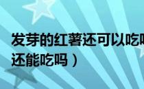 发芽的红薯还可以吃吗它有毒吗（发芽的红薯还能吃吗）