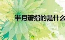 半月瓣指的是什么（半月瓣是什么）