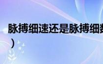 脉搏细速还是脉搏细数（脉搏细数是什么意思）