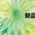 魅蓝E3(关于魅蓝E3简述)