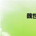 魏世皓(关于魏世皓简述)