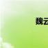 魏云龙(关于魏云龙简述)