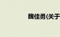 魏佳勇(关于魏佳勇简述)