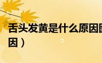 舌头发黄是什么原因图片（舌头发黄是什么原因）