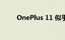 OnePlus 11 似乎将采用陶瓷机身