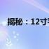 揭秘：12寸平板电脑的标准尺寸及其特点